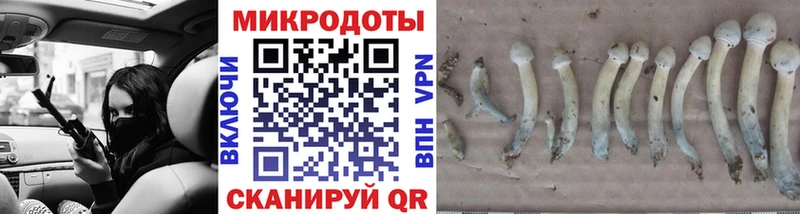 Псилоцибиновые грибы мухоморы где купить наркотик Верхняя Пышма