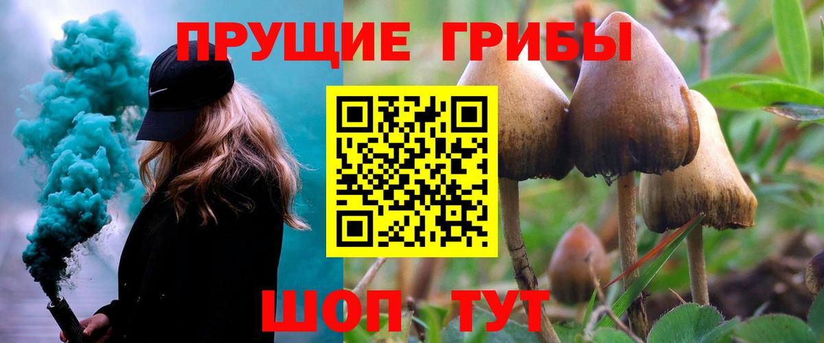 Верхняя Пышма  Галлюциногенные грибы прущие грибы  Вход с VPN 